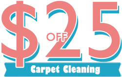 Our Special Offer